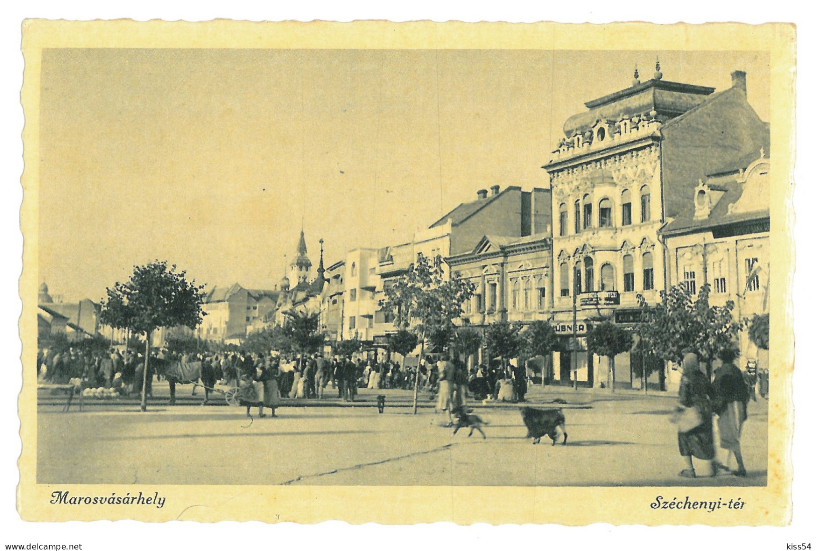 RO 40 - 17922 TARGU-MURES, Market, Romania - Old Postcard, Real PHOTO - Unused - Roemenië