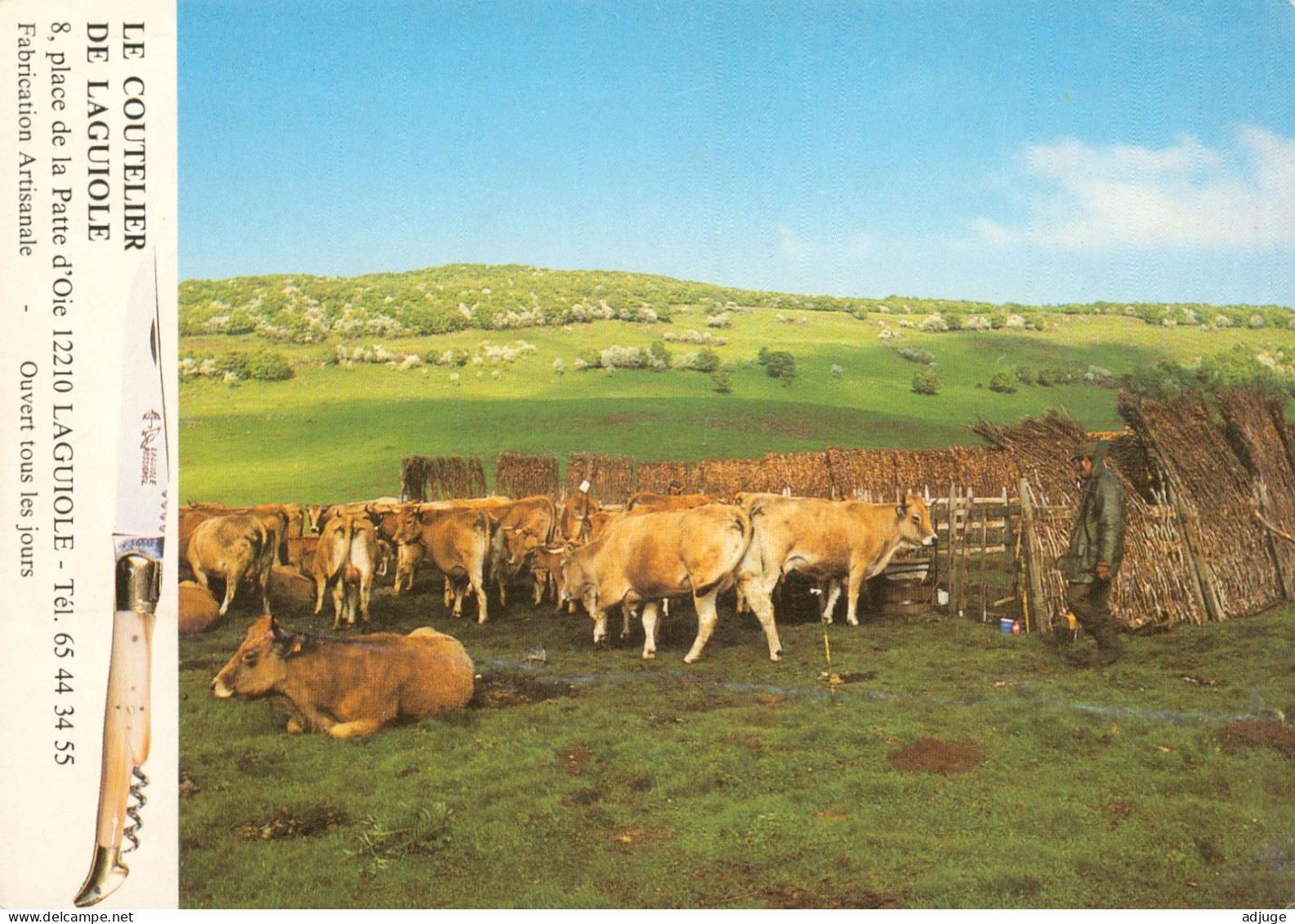 CPM* Aveyron-Le Coutelier De LAGUIOLE_ Coutellerie Artisanale_  Vue Sur Les Paturages - Troupeau De Vaches - Artesanal