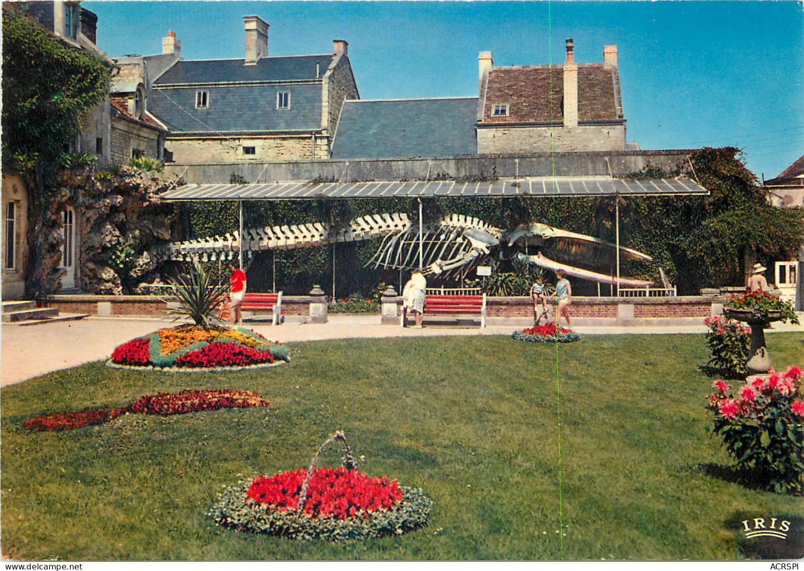 LUC SUR MER La Baleine Du Jardin Public 16(scan Recto Verso)ME2680 - Luc Sur Mer