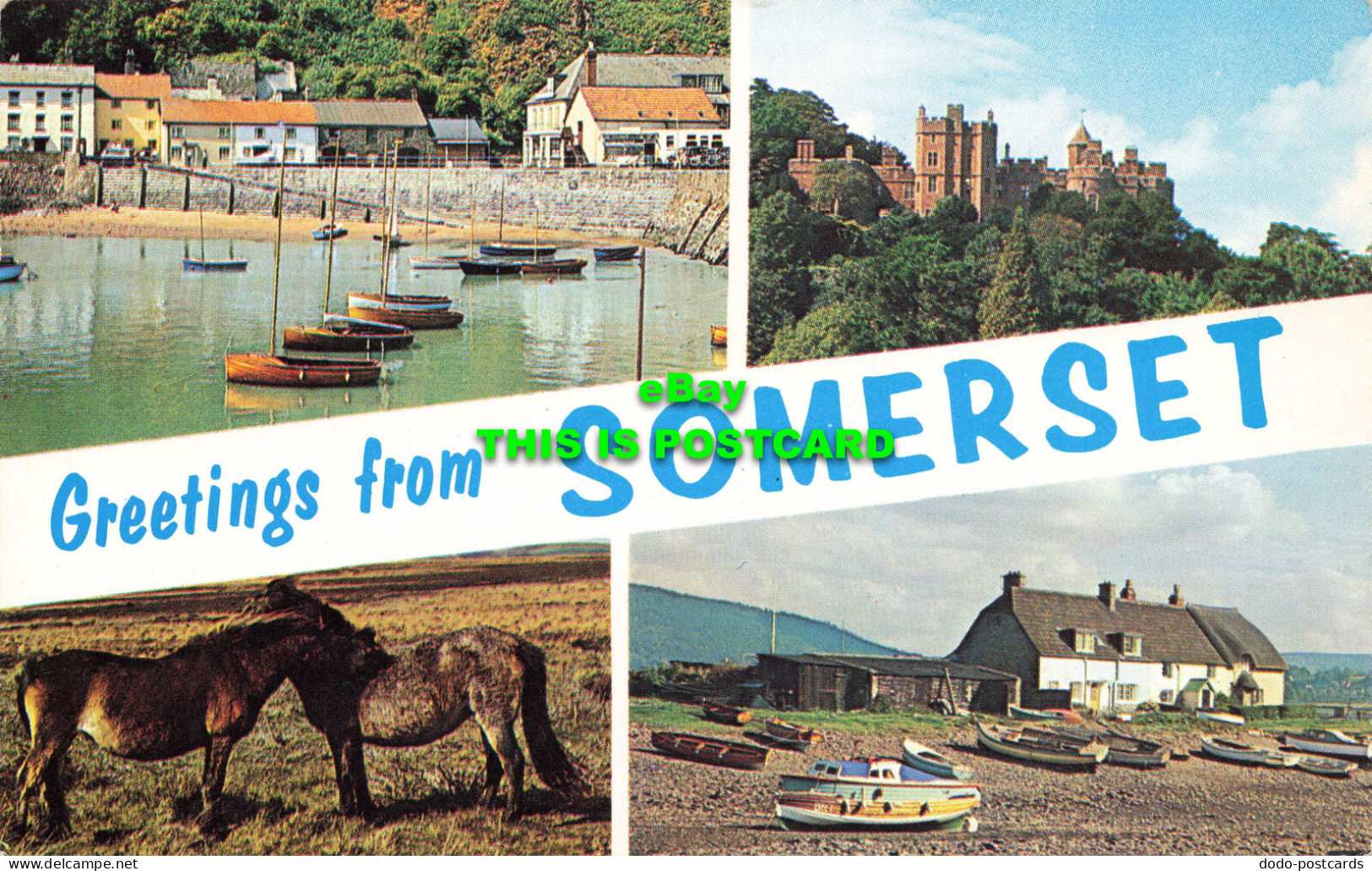 R570576 Greetings From Somerset. Plastichrome. Colourpicture Publishers. 1963. M - Welt