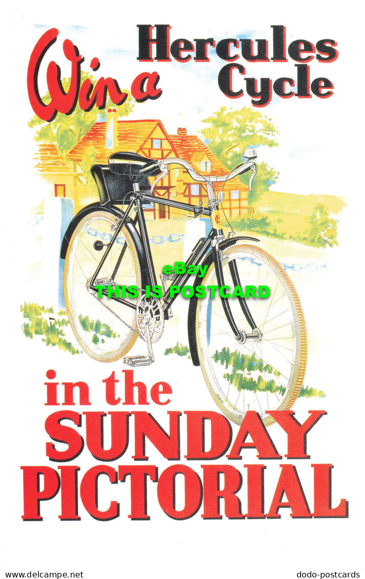 R569940 Win A Hercules Cycle On Sunday Pictorial. Poster. Dalkeiths Cards Of Sty - Welt