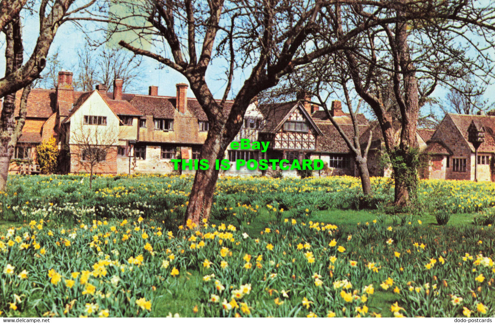 R570594 Hever Castle. Anne Boleyns Orchard And Part Of Tudor Style Village. Jarr - Welt