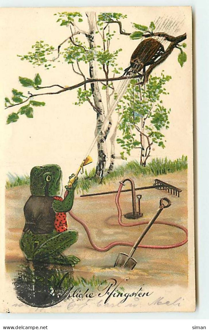 N°18394 - Fröhliche Pfingsten - Grenouille Arrosant Un Hanneton - Pfingsten