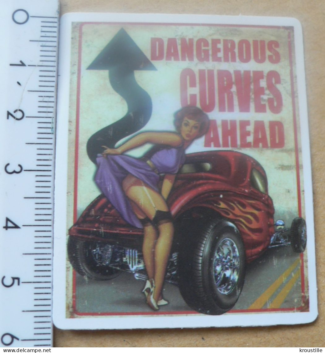 FEMME / SEXY : AUTOCOLLANT PIN-UP DANGEROUS CURVES - Stickers