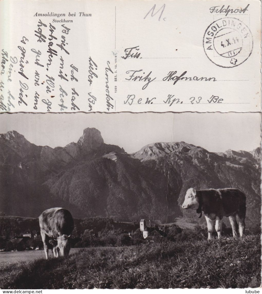 Amsoldingen Bei Thun - Kühe, Kirche, Stockhorn  (Feldpost)        1944 - Autres & Non Classés