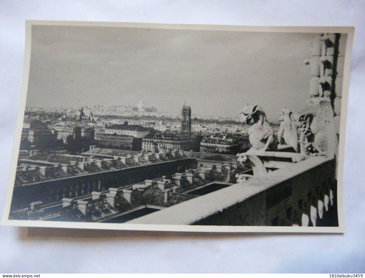 CARTE PHOTO 75 PARIS - NOTRE-DAME : Les Gargouilles - Notre Dame De Paris