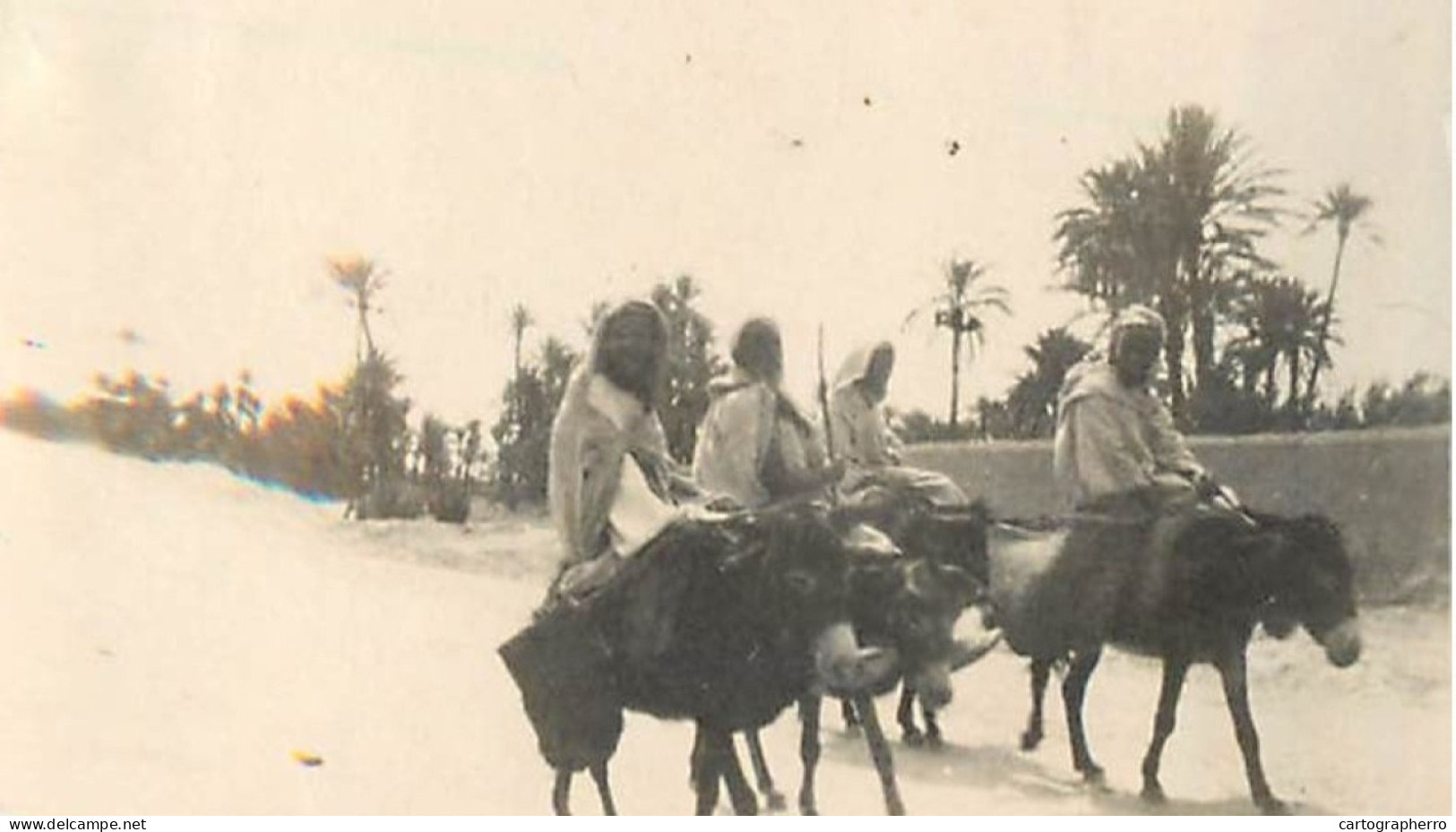 North Africa Ethnics, Donkey Ride Small Format Photo 4 X 6 Cm - Africa