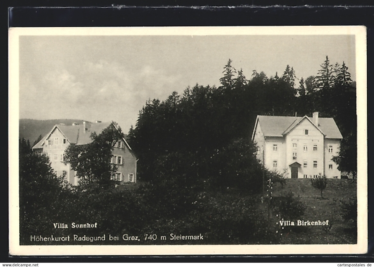 AK Radegund Bei Graz, Villa Sonnhof, Villa Birkenhof  - Autres & Non Classés