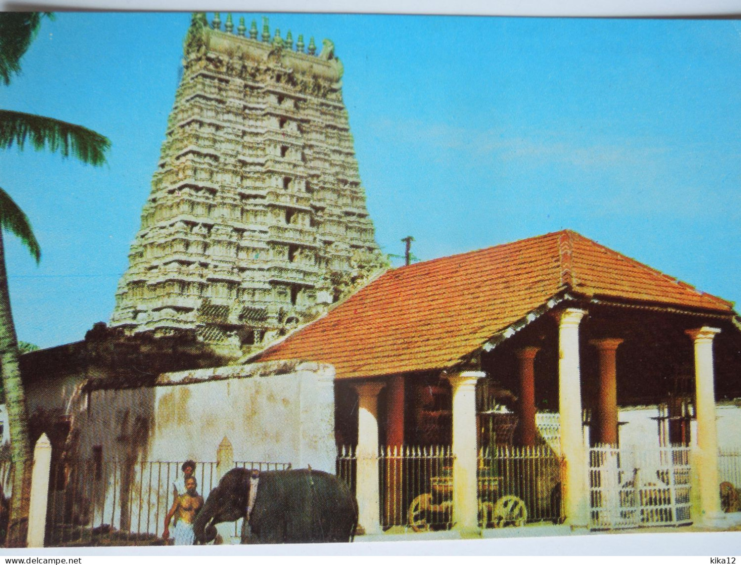 Inde  Kanjeevaram Temple  Eléphant       CP240253 - India