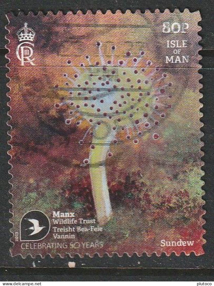 ISLA MAN, USED STAMP, OBLITERÉ, SELLO USADO, - Isle Of Man