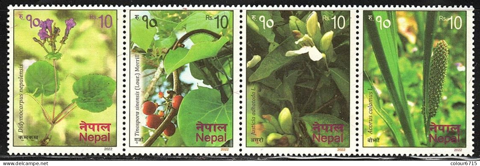 Nepal 2022 Medicinal Plants Stamps 4v MNH - Népal