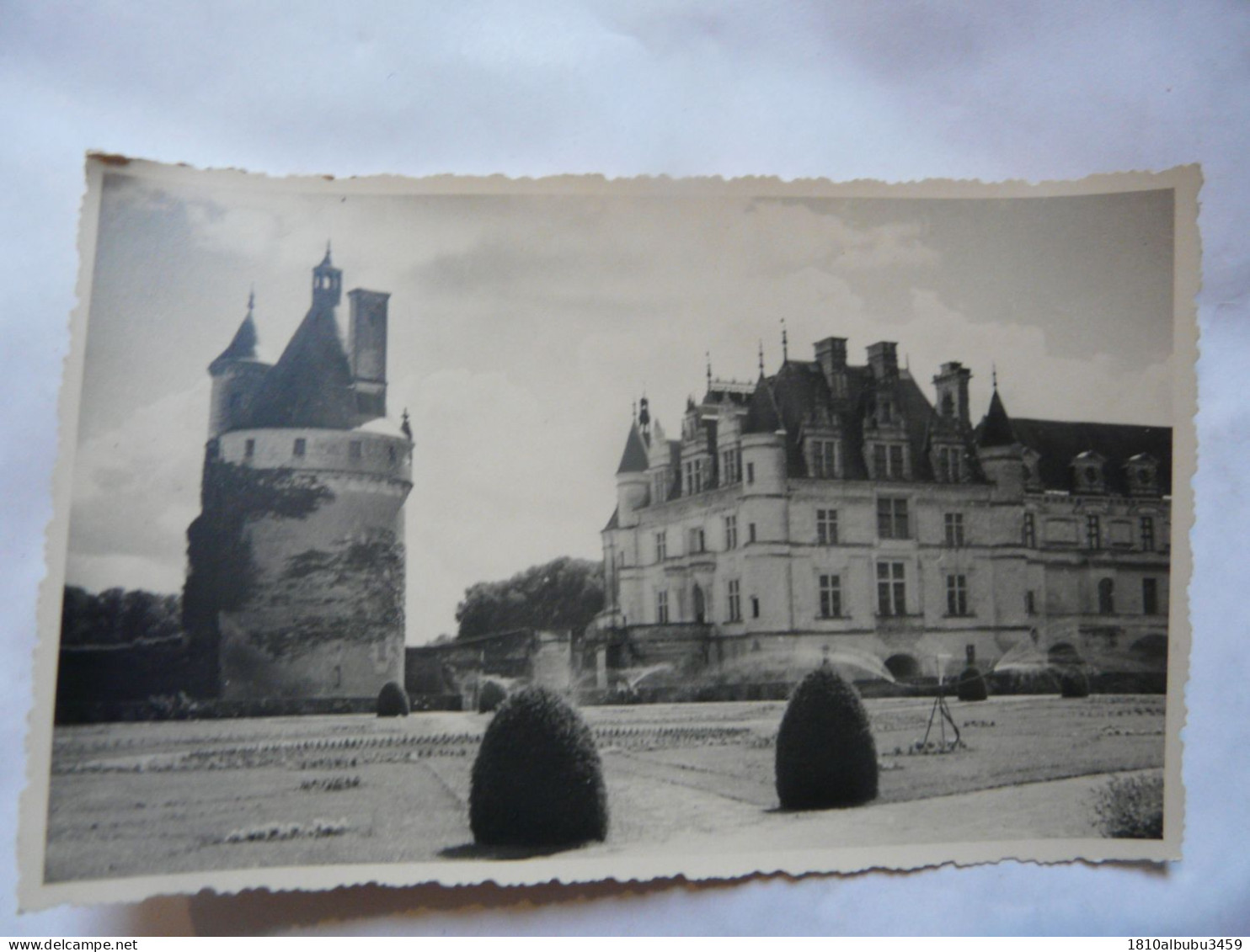 CARTE PHOTO 37 INDRE ET LOIRE - CHENONCEAU : Le Château - Chenonceaux