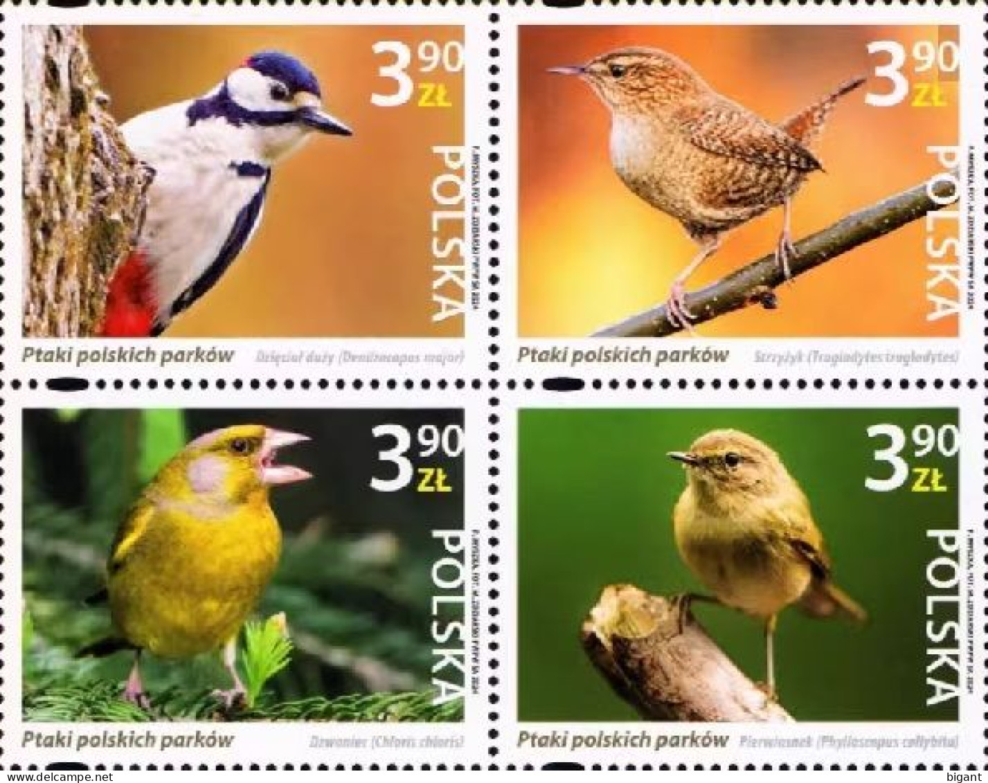 Poland 2024 Birds 4v Mint - Neufs