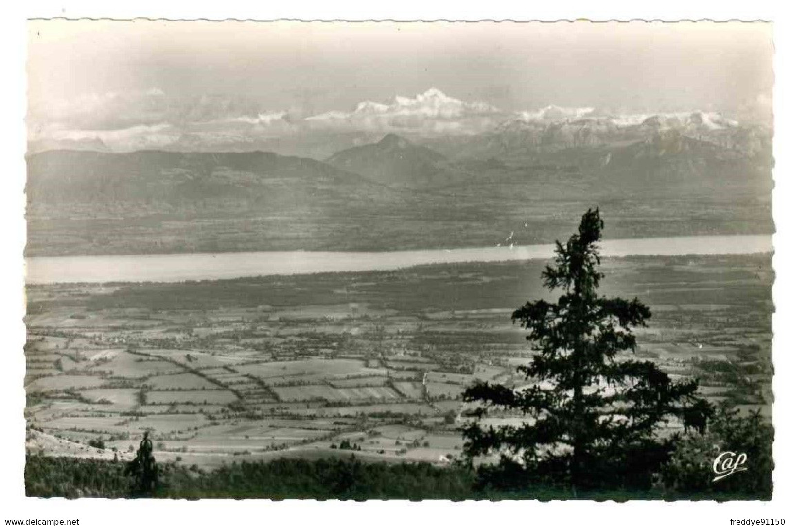 01 . Gex . La Faucille . Panorama De La Chaine Des Alpes .  Le Lac De Genève Et Le Mont Blanc  - Gex