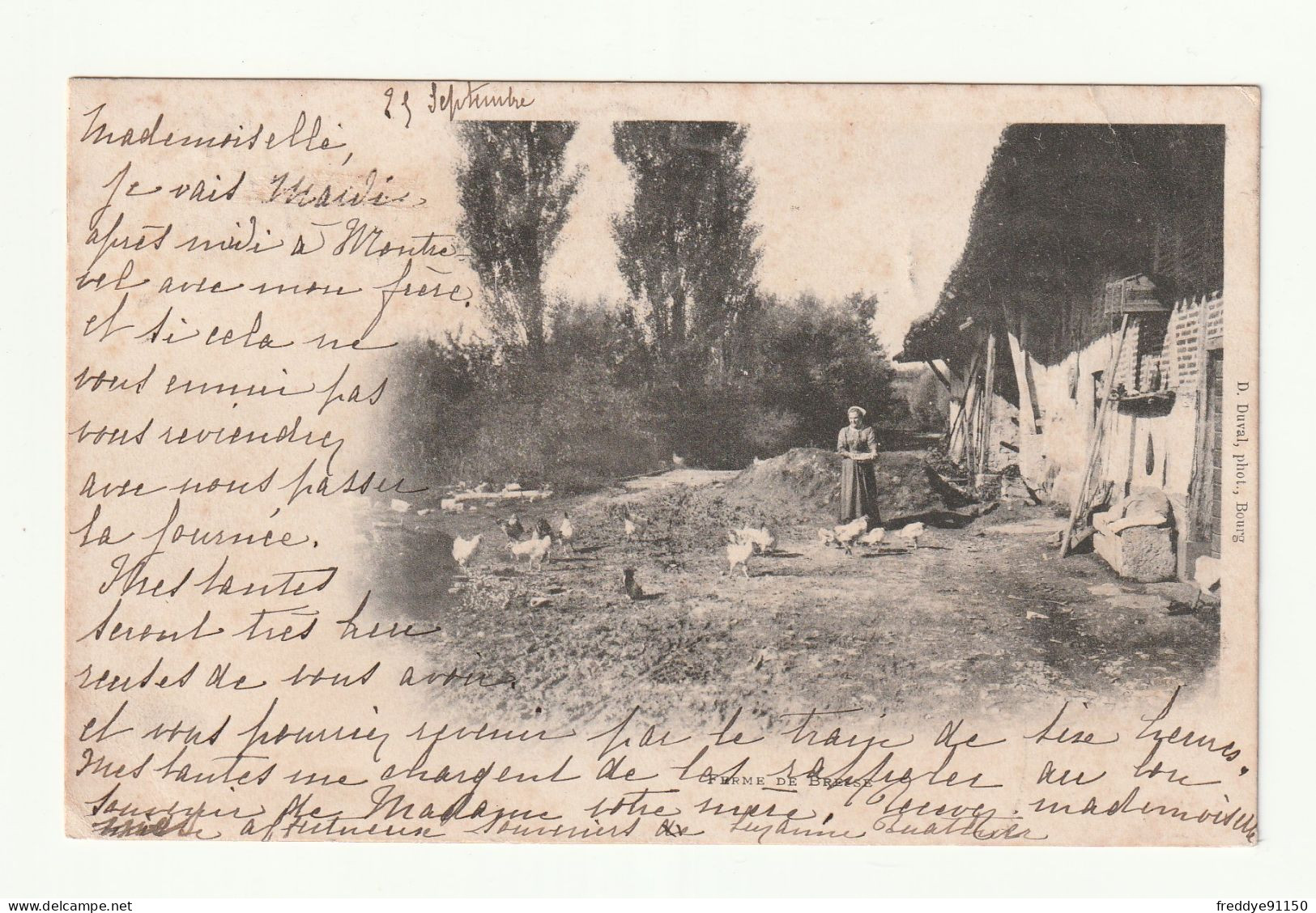 01 . Bourg  . Ferme De Bresse . Femme . Fermière . Poules .  Edit : D.Duval . 1902 - Autres & Non Classés