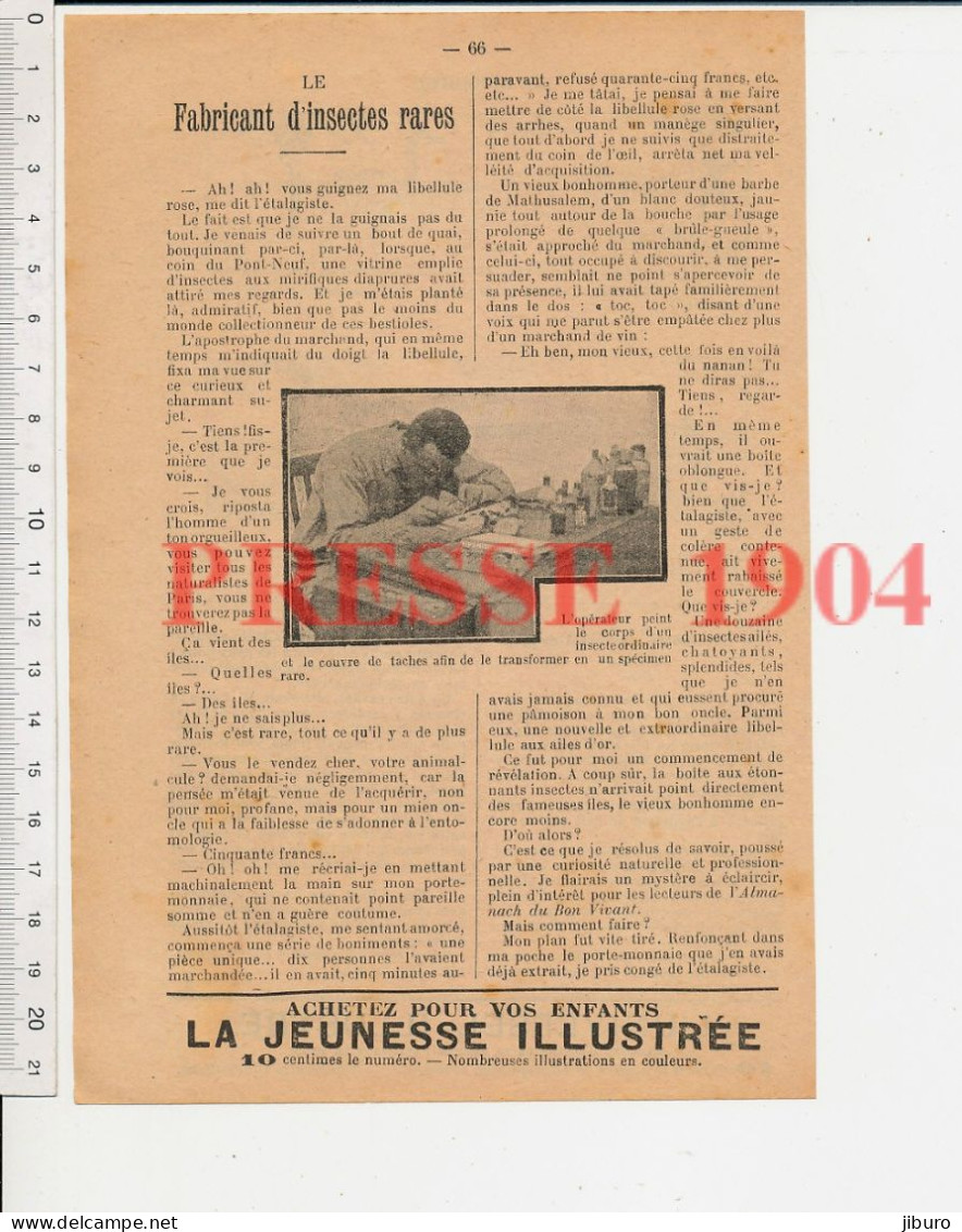 6 Vues Fabricant Insectes Entomologie Chasse Tir à L'arc Autruche Singe Arbre Généalogique De Noël Mgr Ormanian Arménien - Non Classés