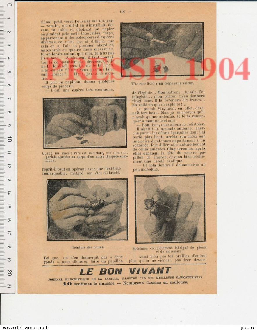 6 Vues Fabricant Insectes Entomologie Chasse Tir à L'arc Autruche Singe Arbre Généalogique De Noël Mgr Ormanian Arménien - Non Classés