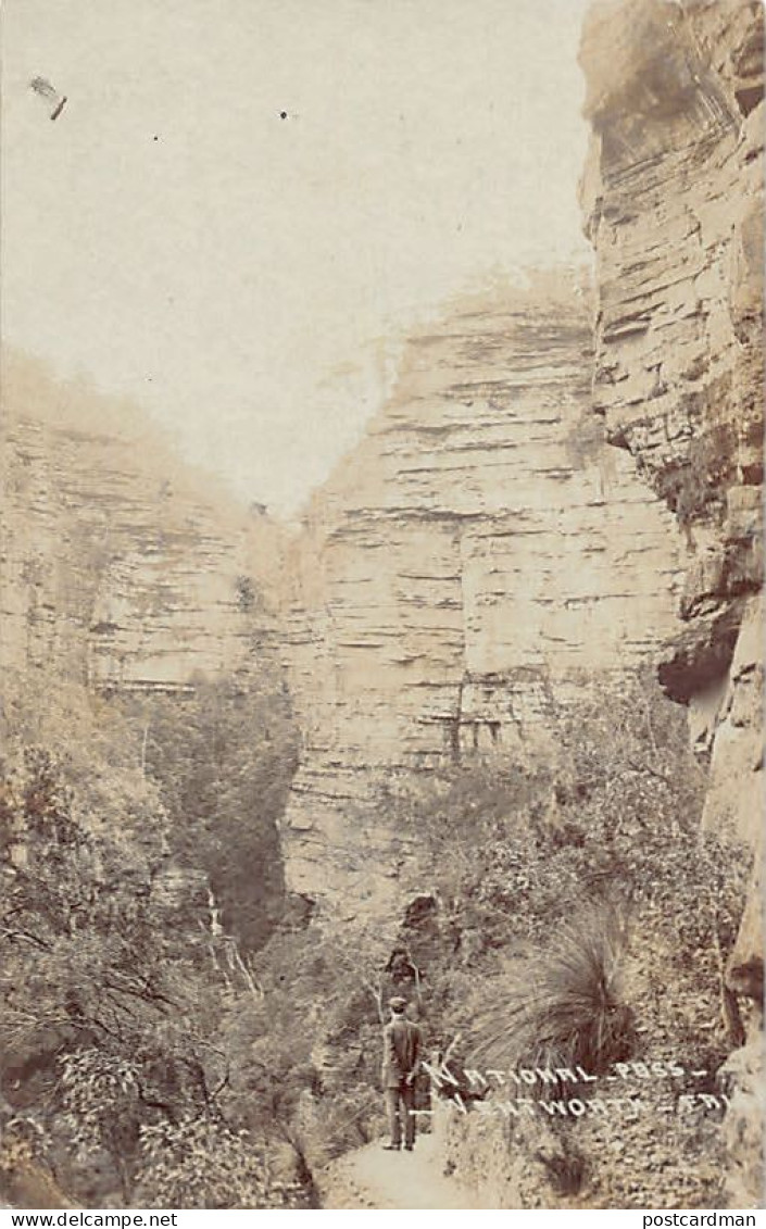 Australia - WENTWORTH FALLS (NSW) National Pass - REAL PHOTO - Publ. Unknown  - Sonstige & Ohne Zuordnung