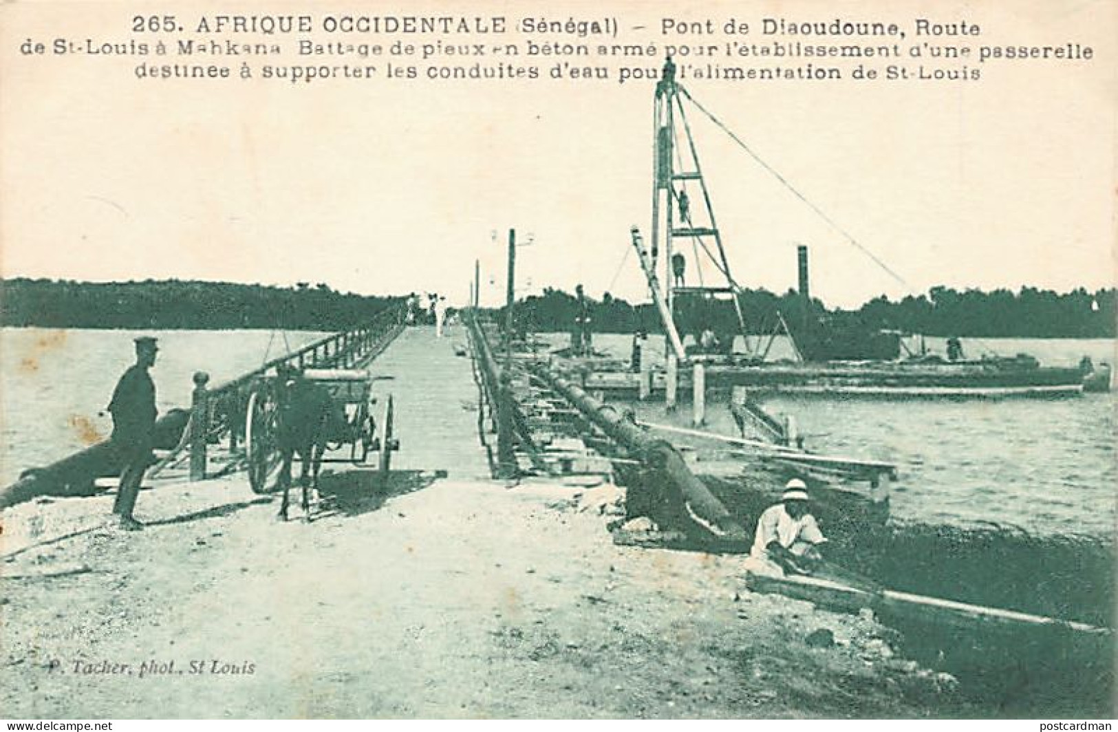 Sénégal - Pont De Diaoudoune, Route De St-Louis à Makhana - Ed. P. Tacher 265 - Sénégal