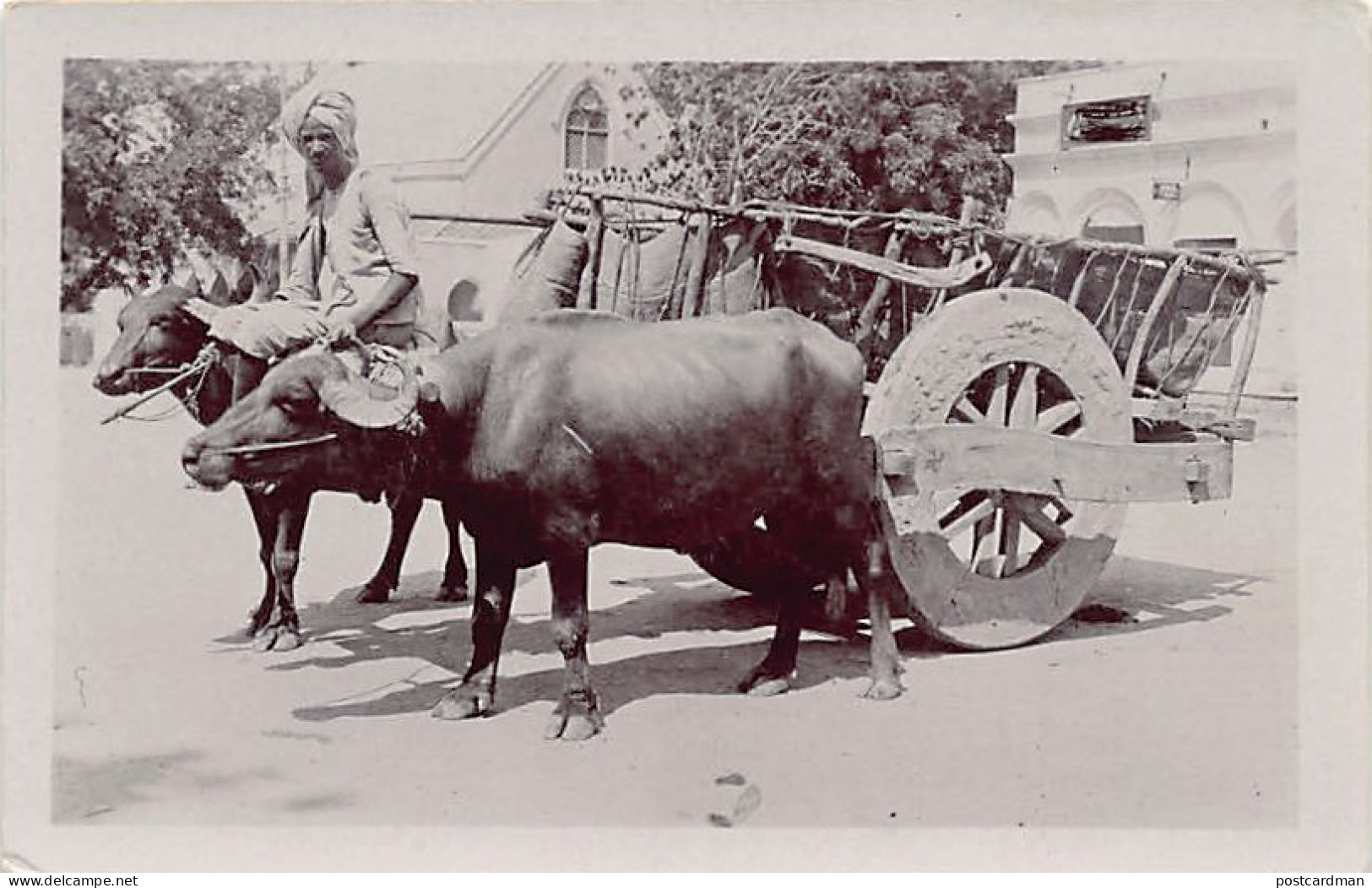 India - Bullock Cart - REAL PHOTO - Publ. Unknown  - India