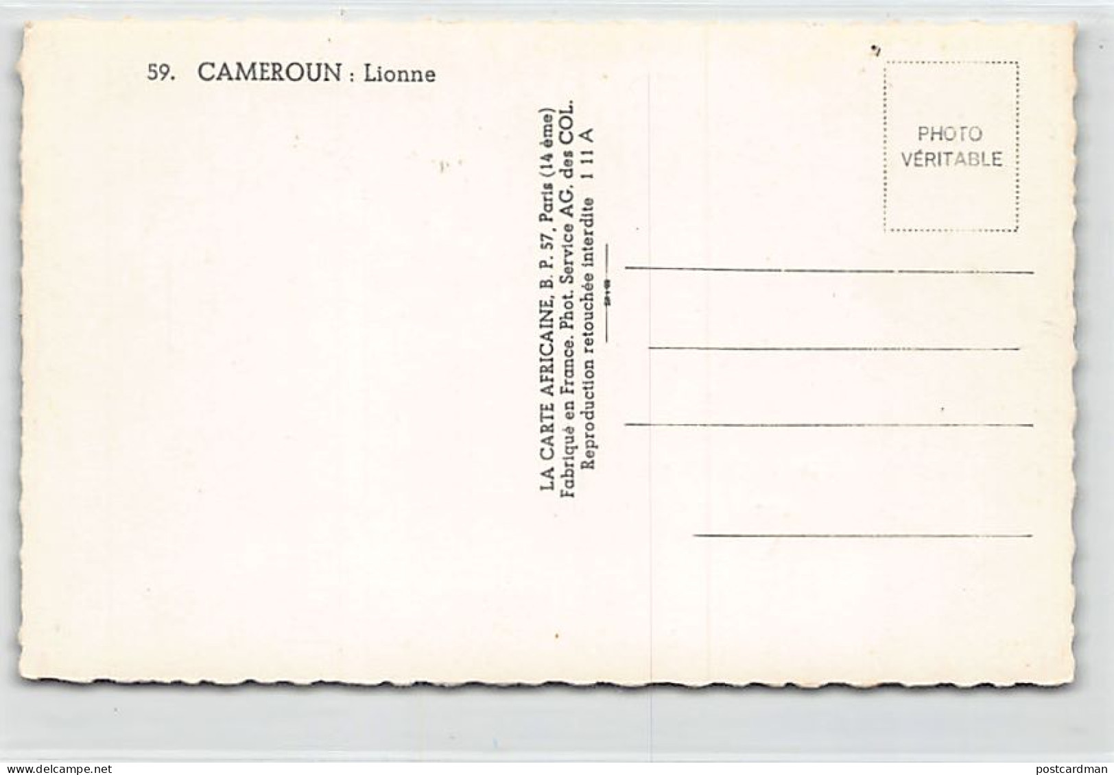 Cameroun - Lionne - Ed. La Carte Africaine 59 - Cameroon