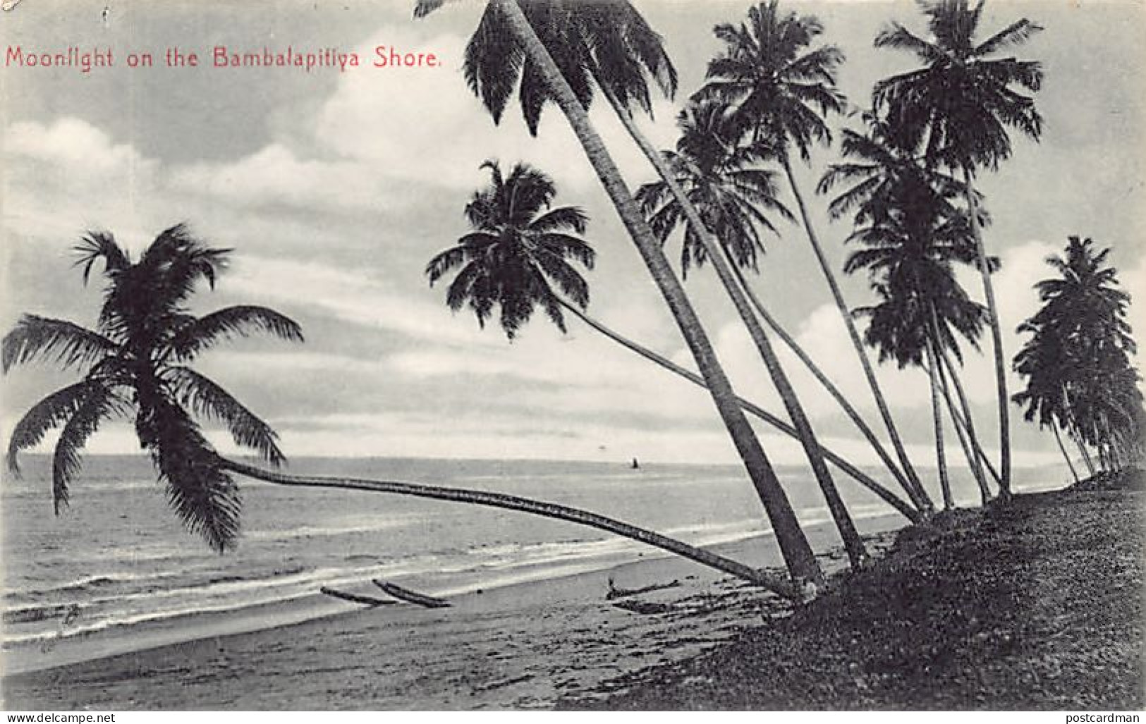 SRI LANKA - Moonlight On The Bambalapitiya - Publ. Plâté & Co. 217 - Sri Lanka (Ceylon)