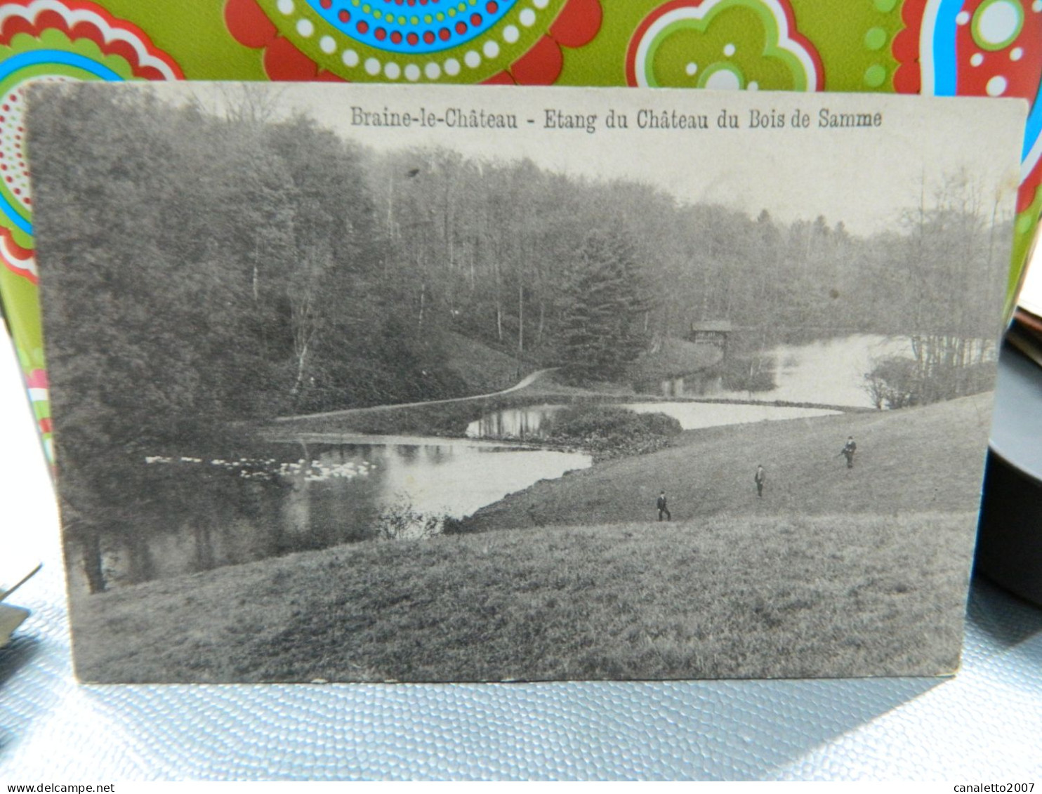 BRAINE LE CHATEAU: ETANG DU CHATEAU DU BOIS DE SAMME 1907 - Braine-le-Château