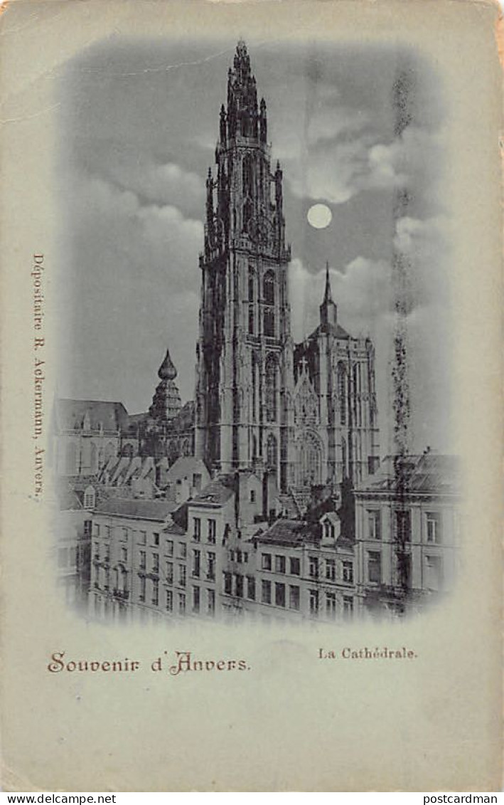 ANTWERPEN - De Kathedraal Bij Nacht - Antwerpen