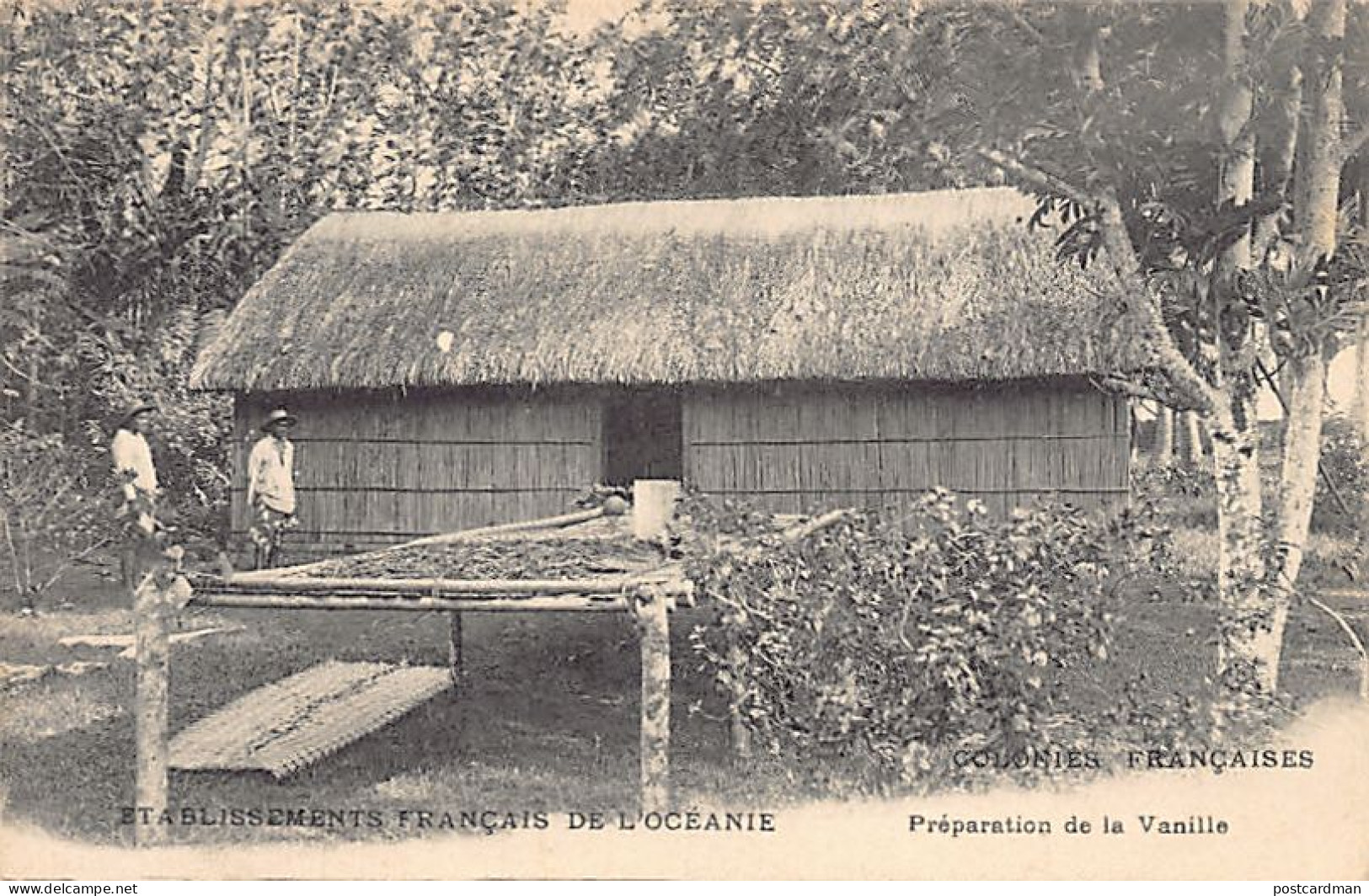 Polynésie - Préparation De La Vanille - Ed. Inconnu  - Polynésie Française