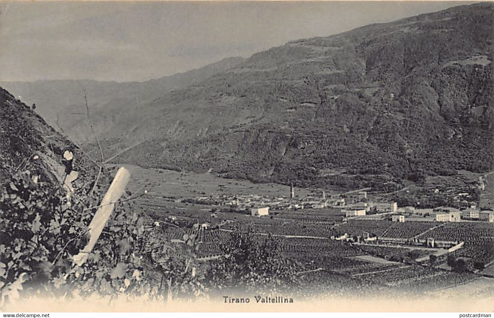 TIRANO (TI) Valtellina - Vista Generale - Ed. Wehrli 7365 - Other & Unclassified