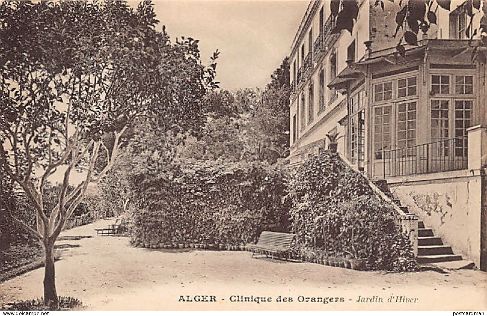 Algérie - ALGER - Clinique Des Orangers - Jardin D'Hiver - Alger