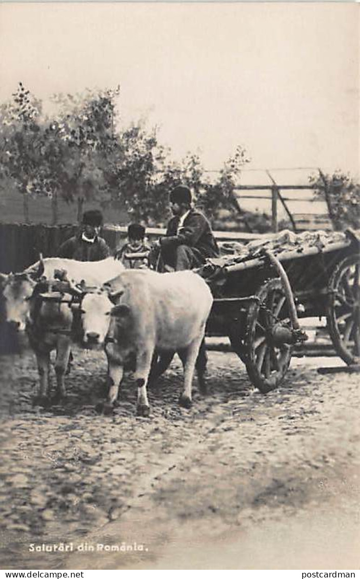 Romania - Bullock Cart - REAL PHOTO - Roumanie