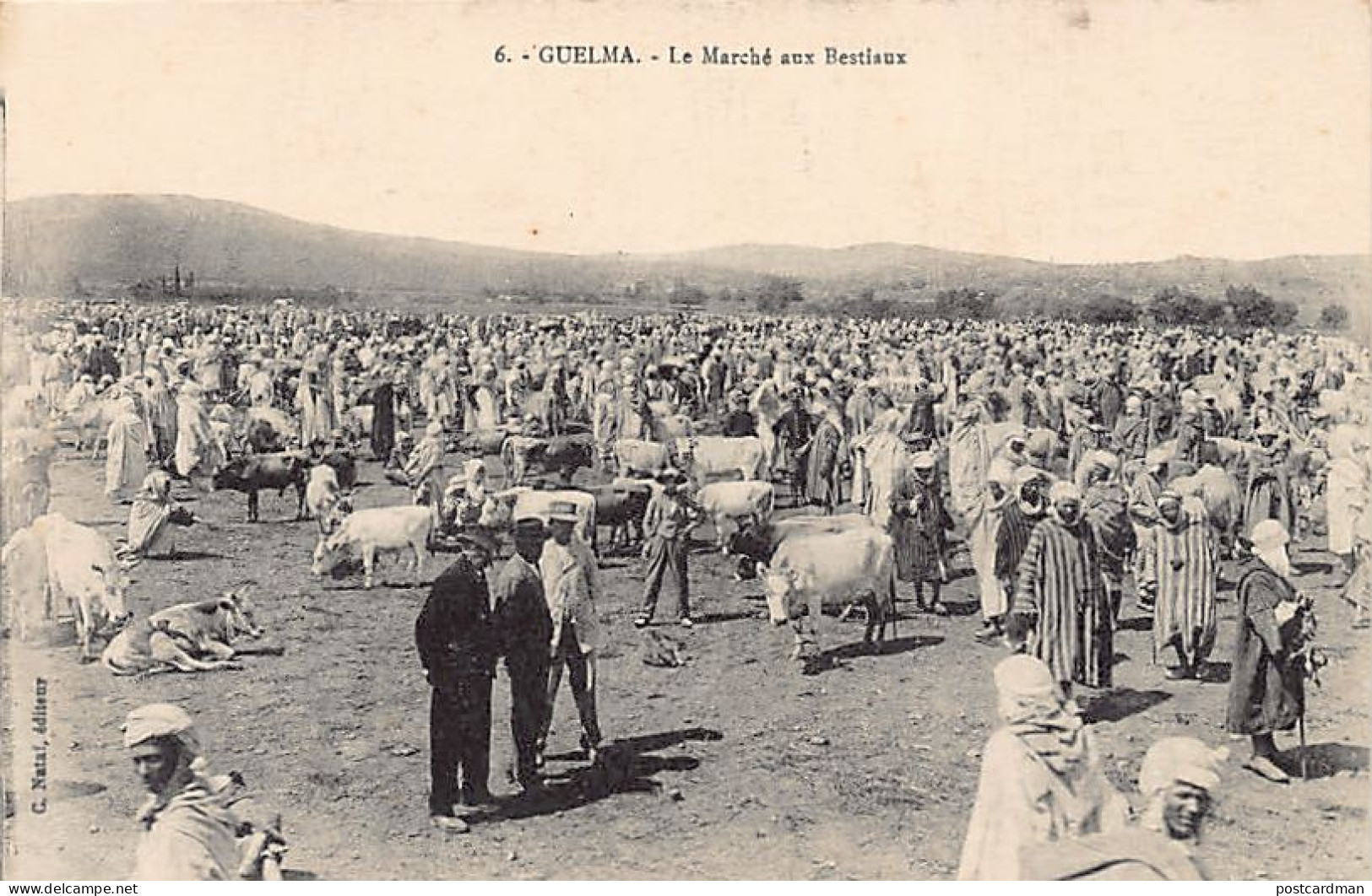 Algérie - GUELMA - Le Marché Aux Bestiaux - Ed. C. Nataf 6 - Guelma