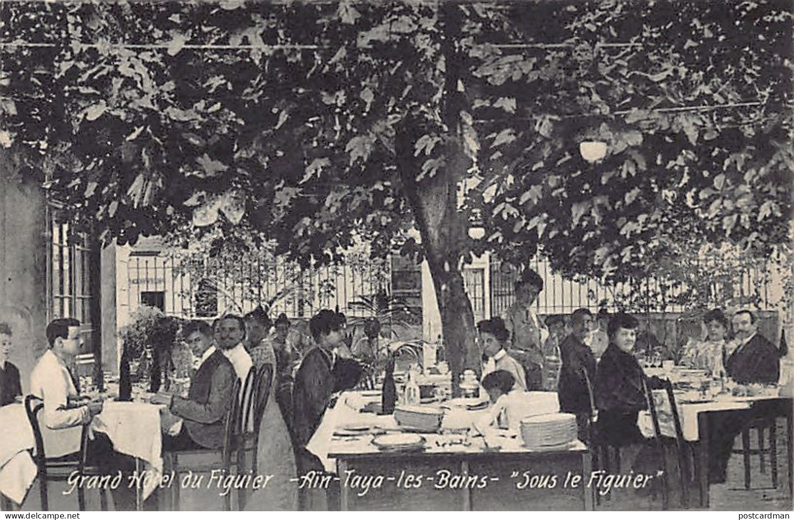 AIN TAYA LES BAINS - Grand Hôtel Du Figuier - Sous Le Figuier - Otros & Sin Clasificación