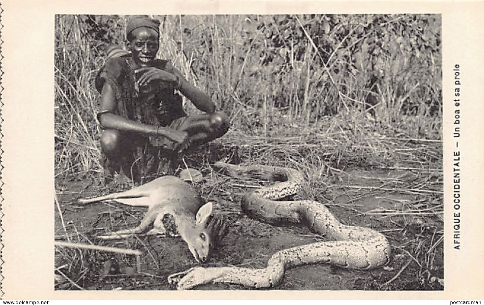 Niger - Un Boa Et Sa Proie - Ed. Labitte  - Níger