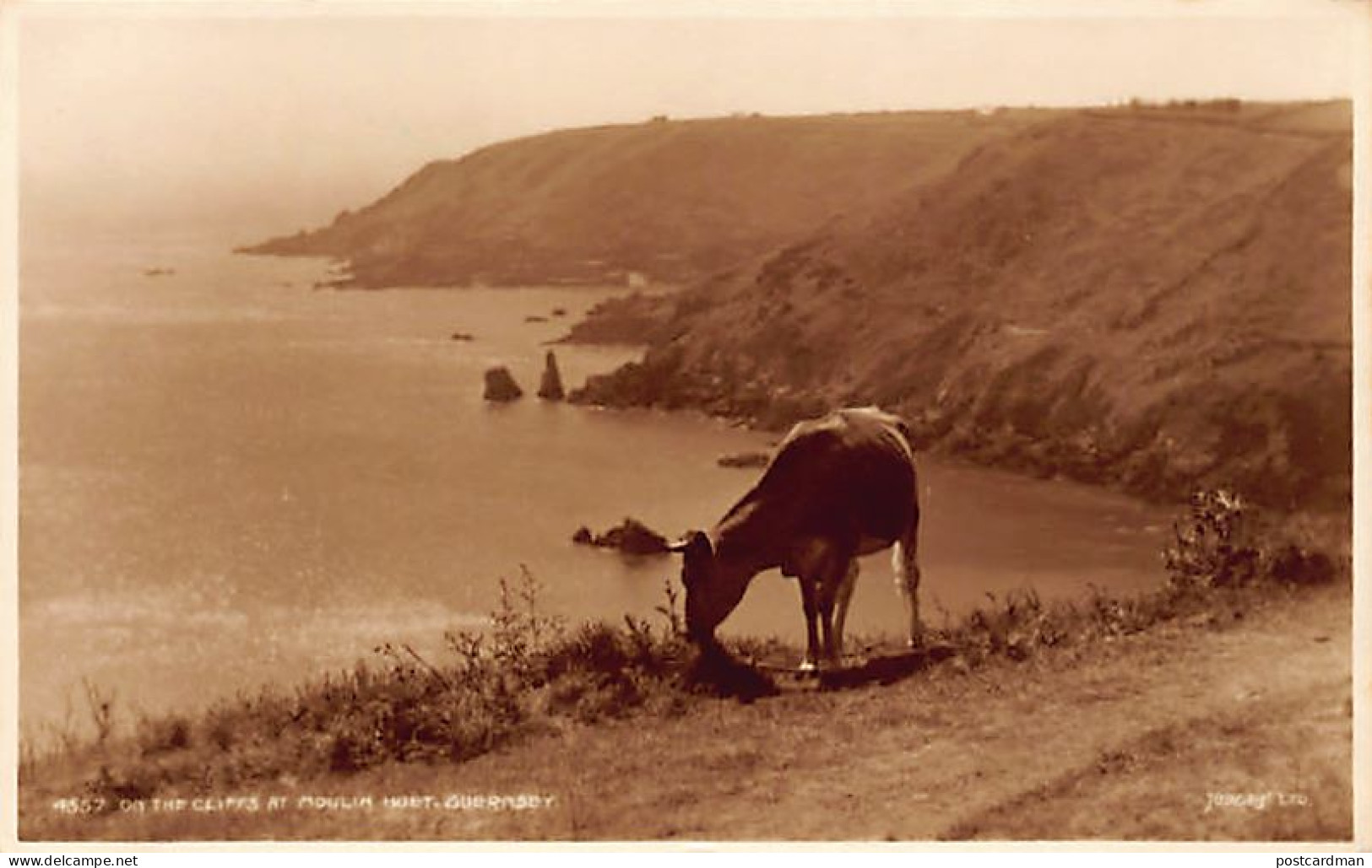 Guernsey - On The Cliffs At Mouley Huet - REAL PHOTO - Publ. Judges Ltd. 4557 - Guernsey