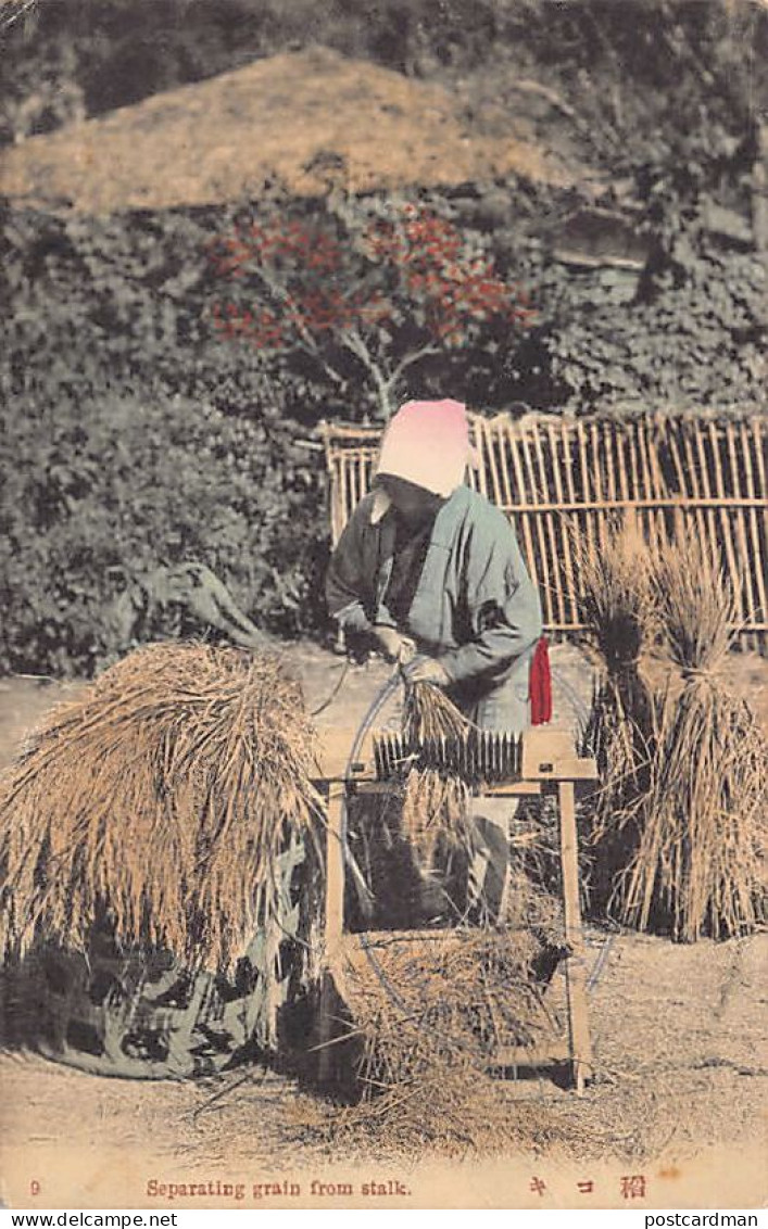 Japan - The Rice Cultivation - Separatin Grain From Stalk - Sonstige & Ohne Zuordnung