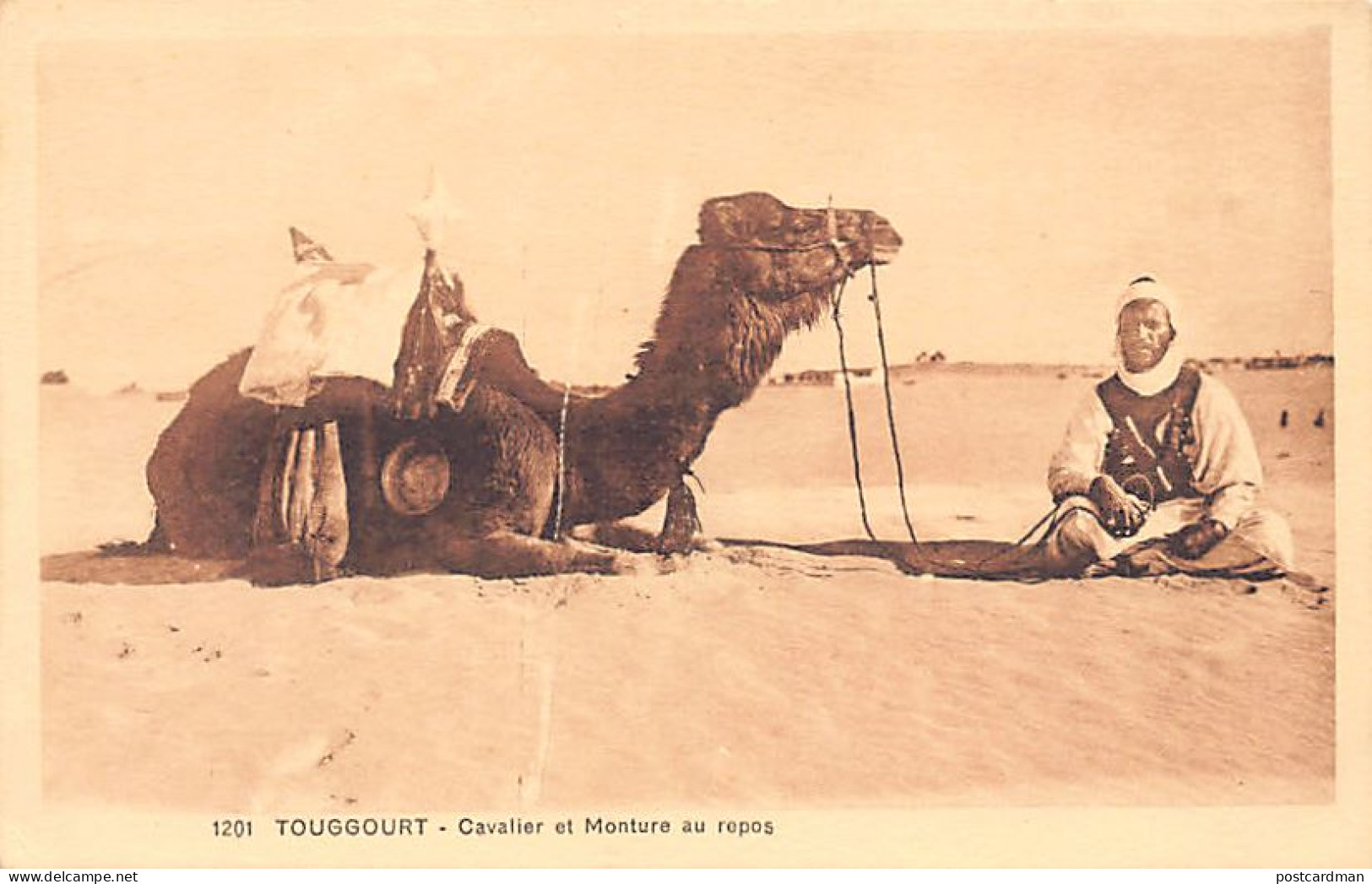 Algérie - TOUGGOURT - Méhariste Et Sa Monture - Ed. Dewamme 1201 - Autres & Non Classés