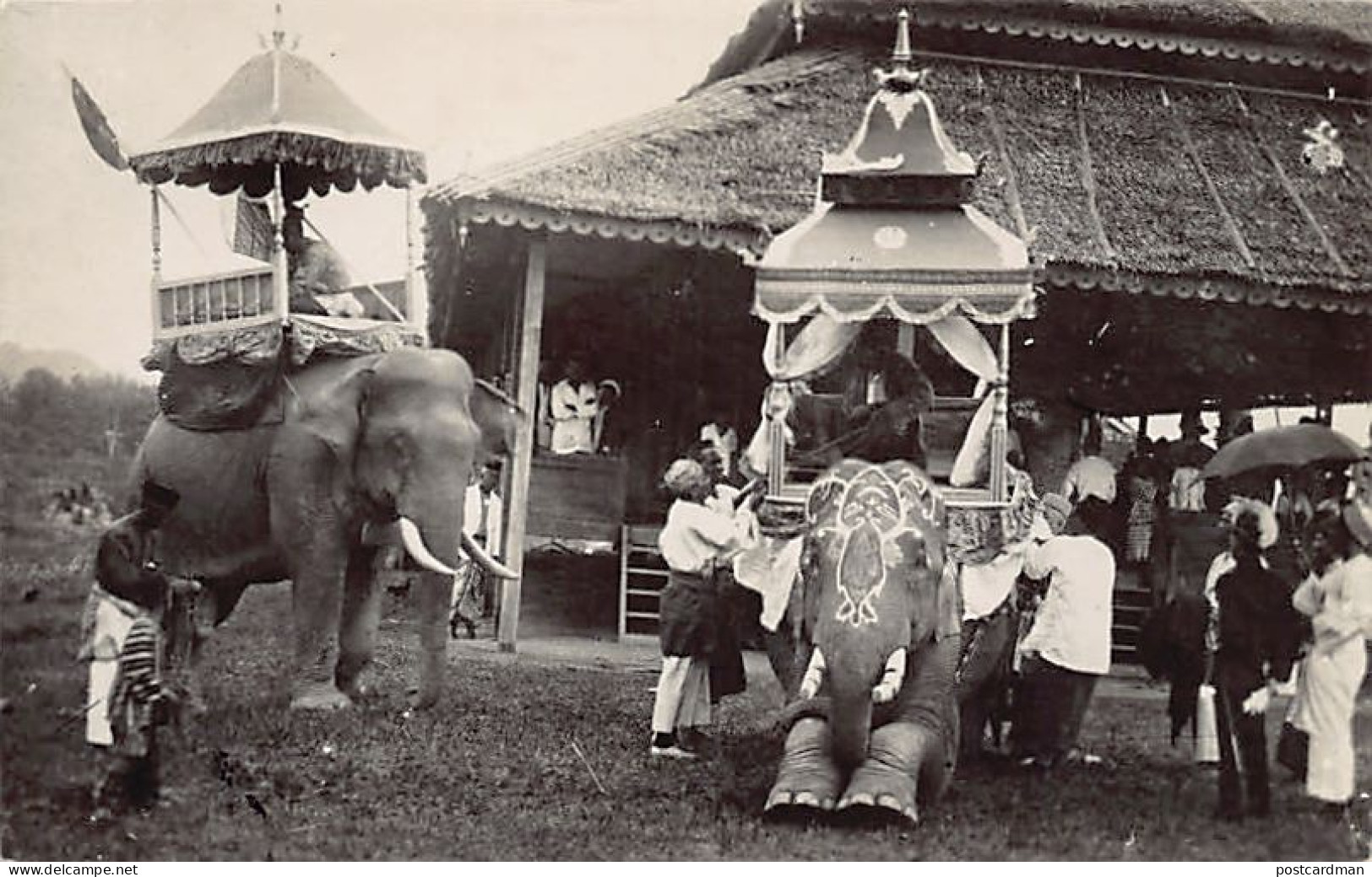 Malaysia - Malay Elephants - REAL PHOTO - Publ. Unknown  - Malesia