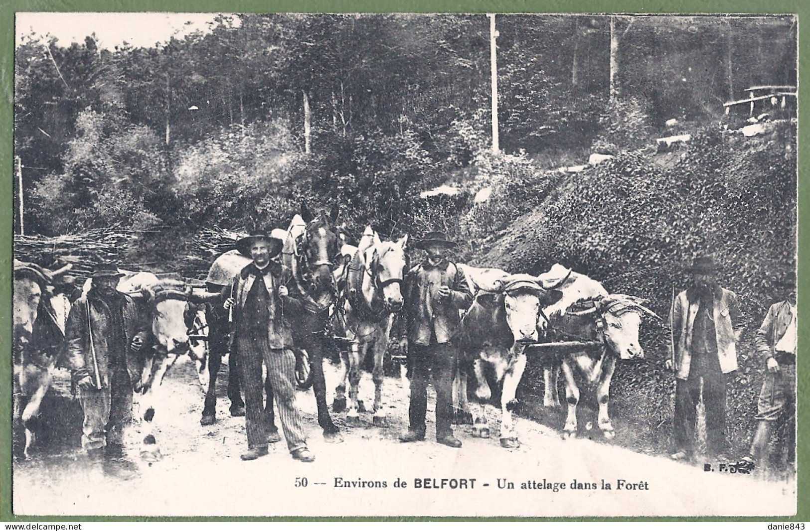 CPA  - TÉRRITOIRE DE BELFORT - ENVIRONS DE BELFORT - ATTELAGES DANS LA FORET - Superbe Animation, Boeufs Et Chevaux - Sonstige & Ohne Zuordnung