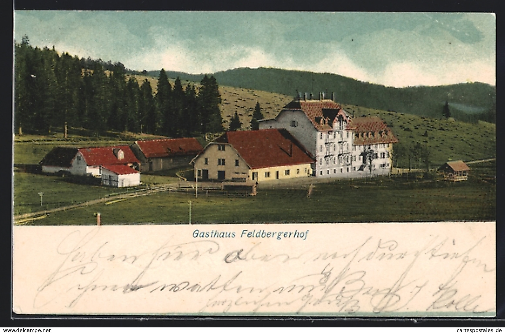 AK Feldberg /Schwarzwald, Gasthaus Feldbergerhof  - Feldberg