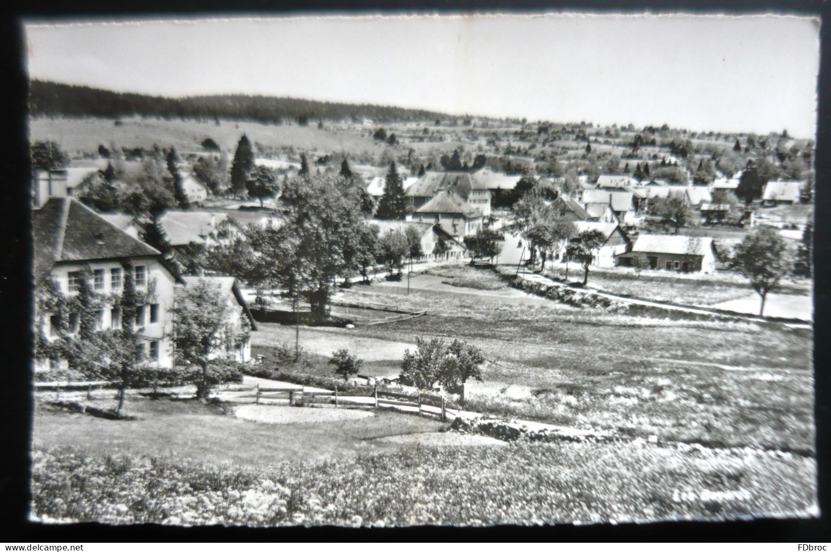 LES BAYARDS -  Photo éditions A. Deriaz à Baulmes N° 8105 - Les Bayards