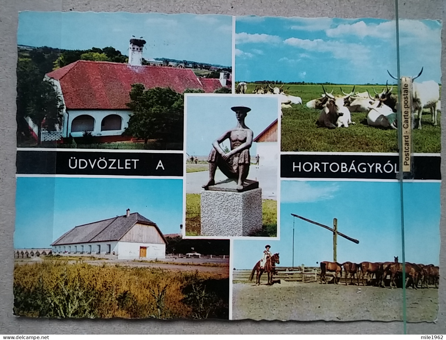 Kov 716-3 - HUNGARY, HORTOBAGY, HORSE, CHEVAL, BULL - Hungary