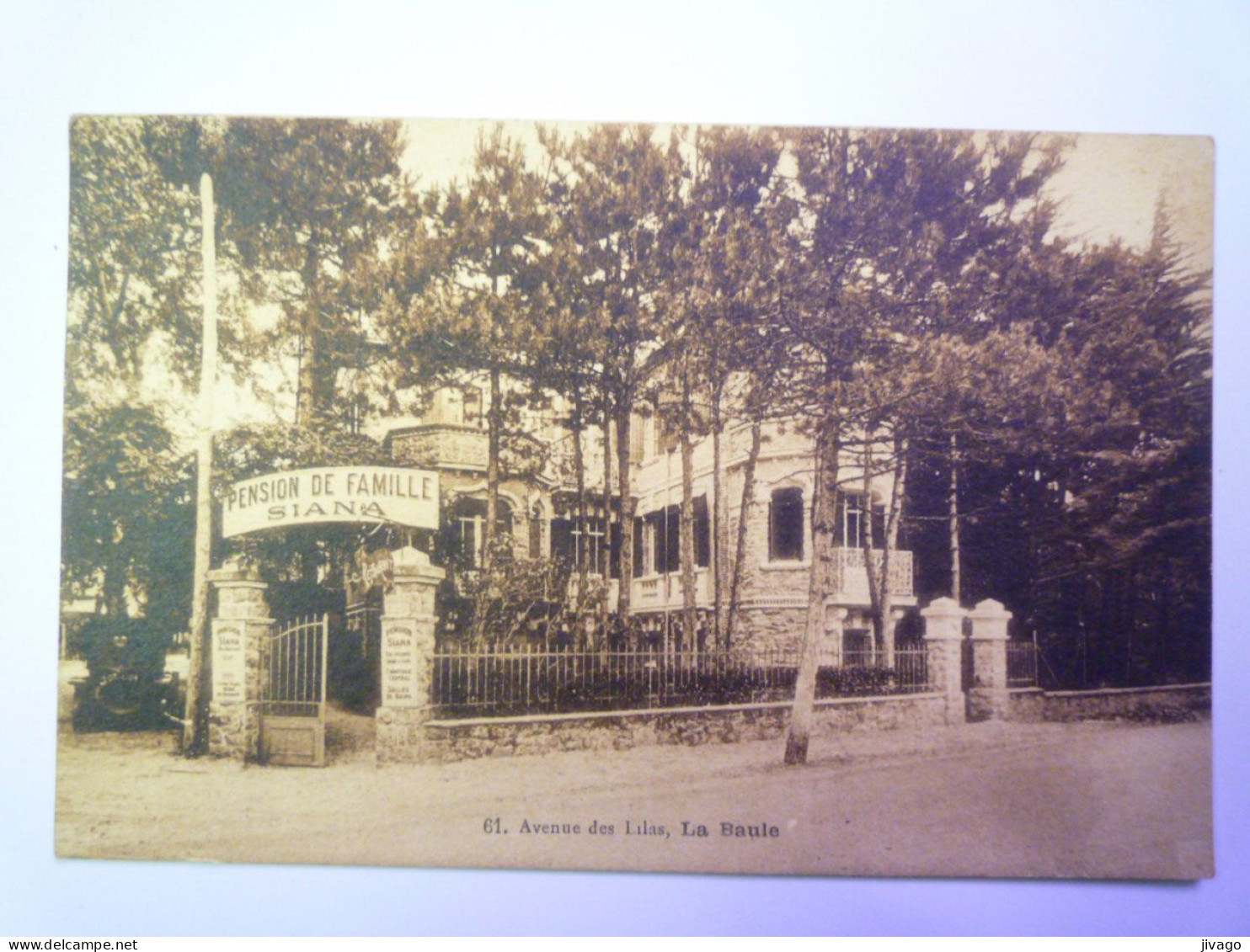 2024 - 1654  LA BAULE  (44)  :  Avenue Des LILAS  -  PENSION De FAMILLE  SIANA   1935   XXX - La Baule-Escoublac