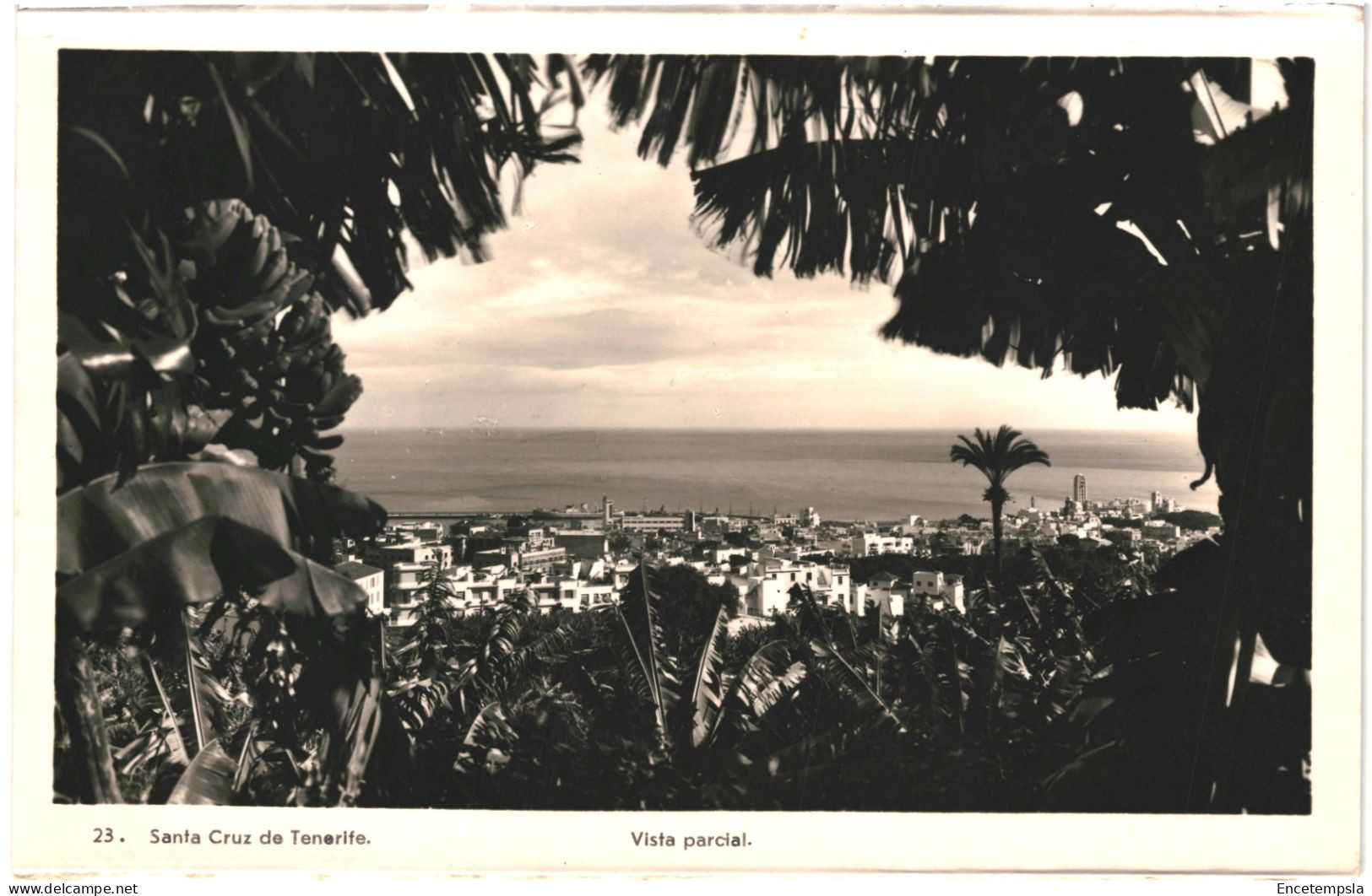 CPA Carte Postale Espagne Santa Cruz De Tenerife Vista Parcial   VM80263 - Tenerife