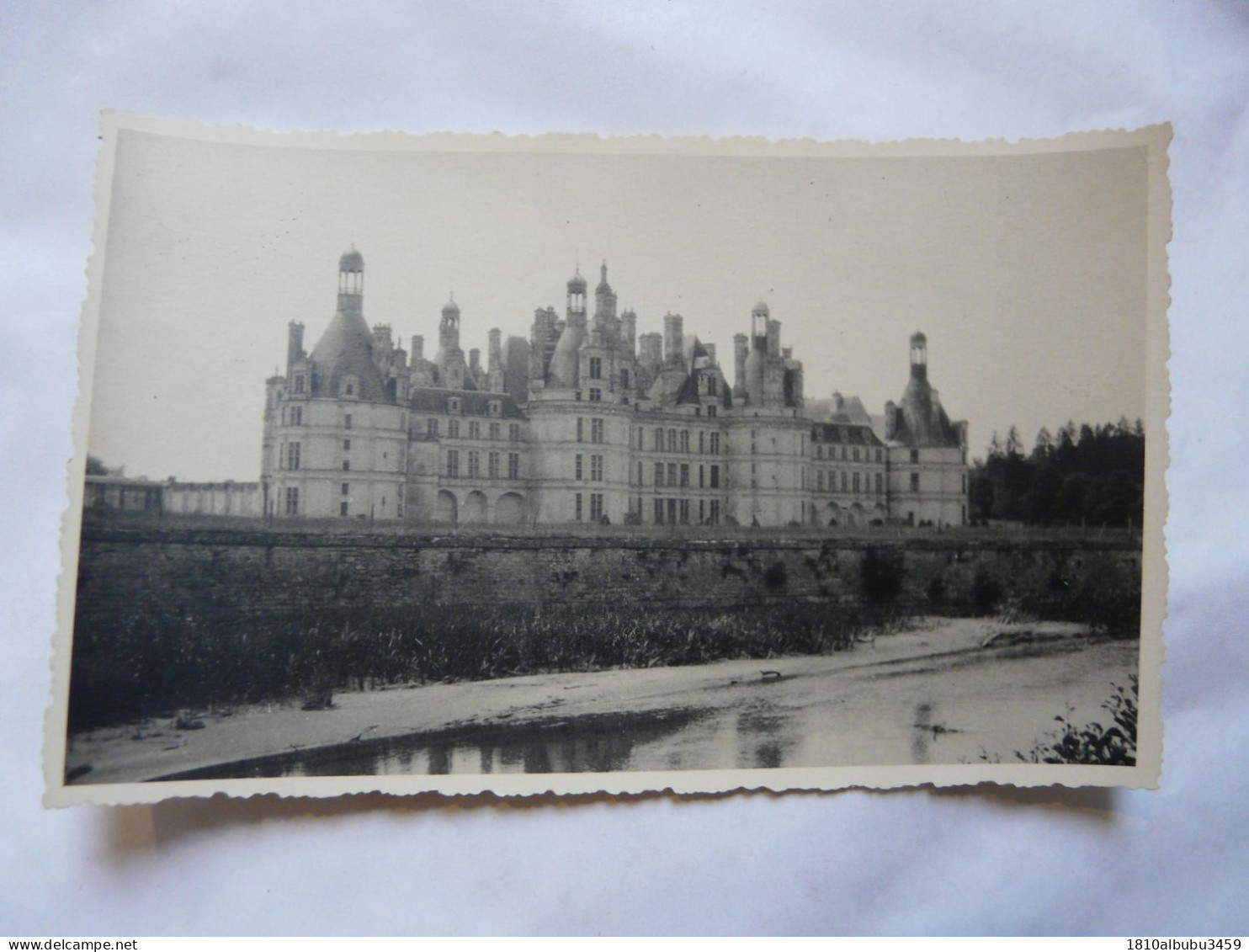 CARTE PHOTO 41 LOIR ET CHER - CHAMBORD - Chambord