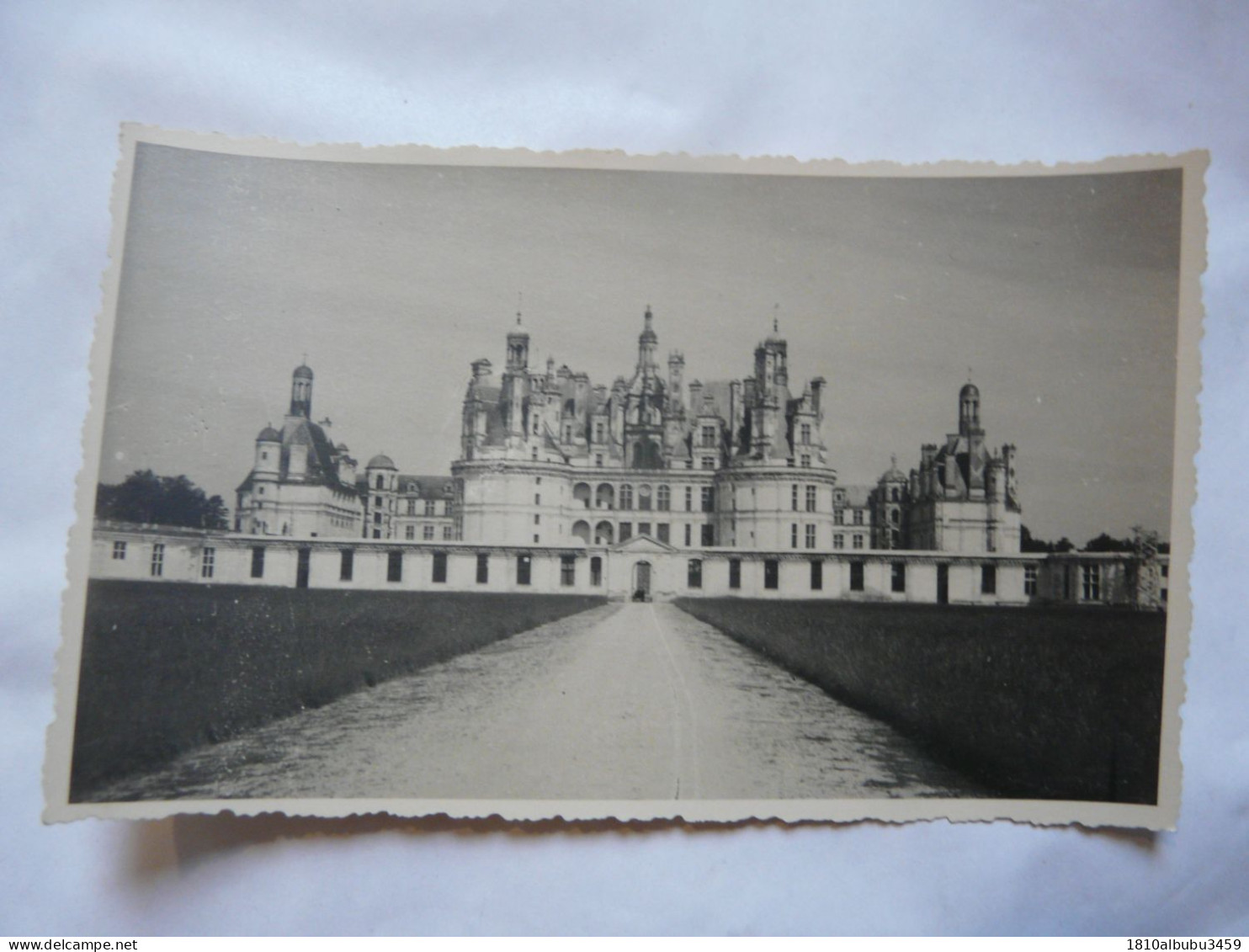 CARTE PHOTO 41 LOIR ET CHER - CHAMBORD - Chambord