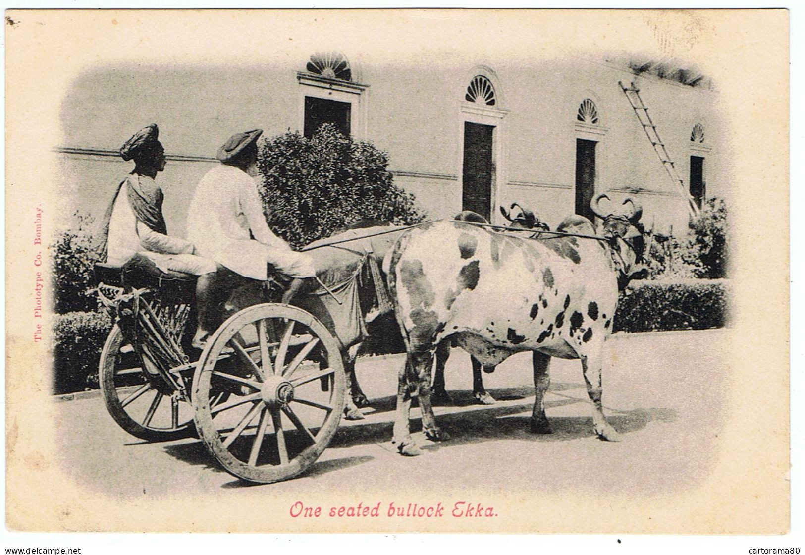 Inde / DND / " One Seated Bullock Ekka " ( Charrette Tirée Par Des Bœufs ) - India