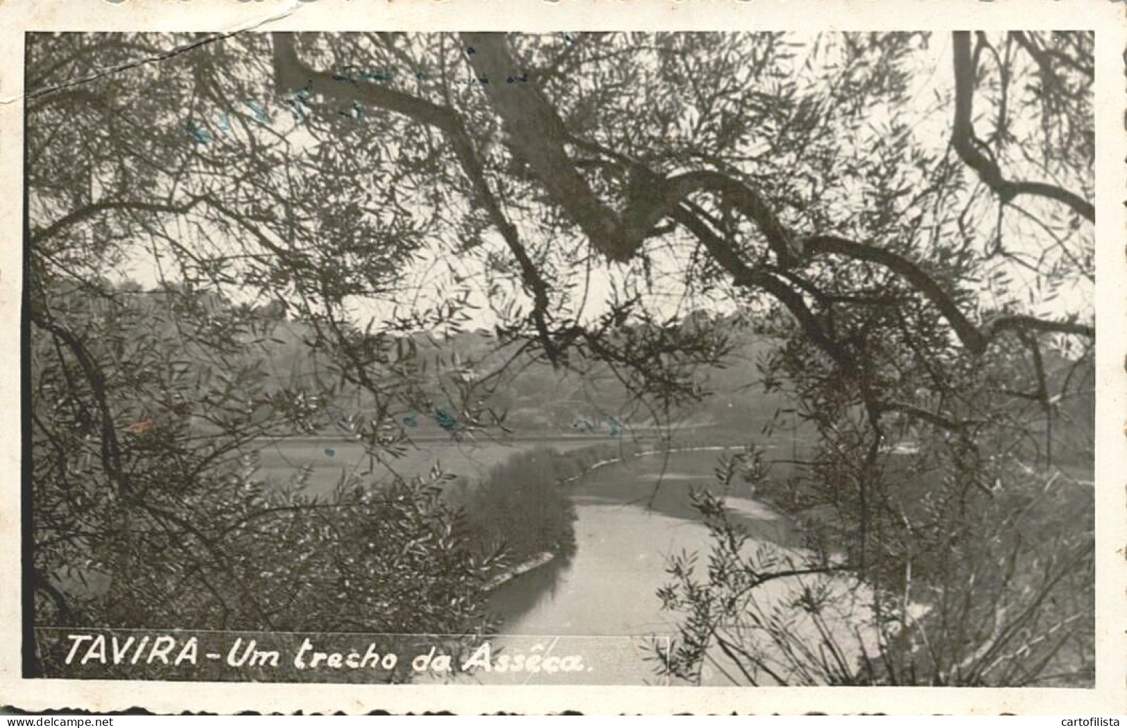 TAVIRA - Um Trecho Da Assêca  ( 2 Scans ) - Faro