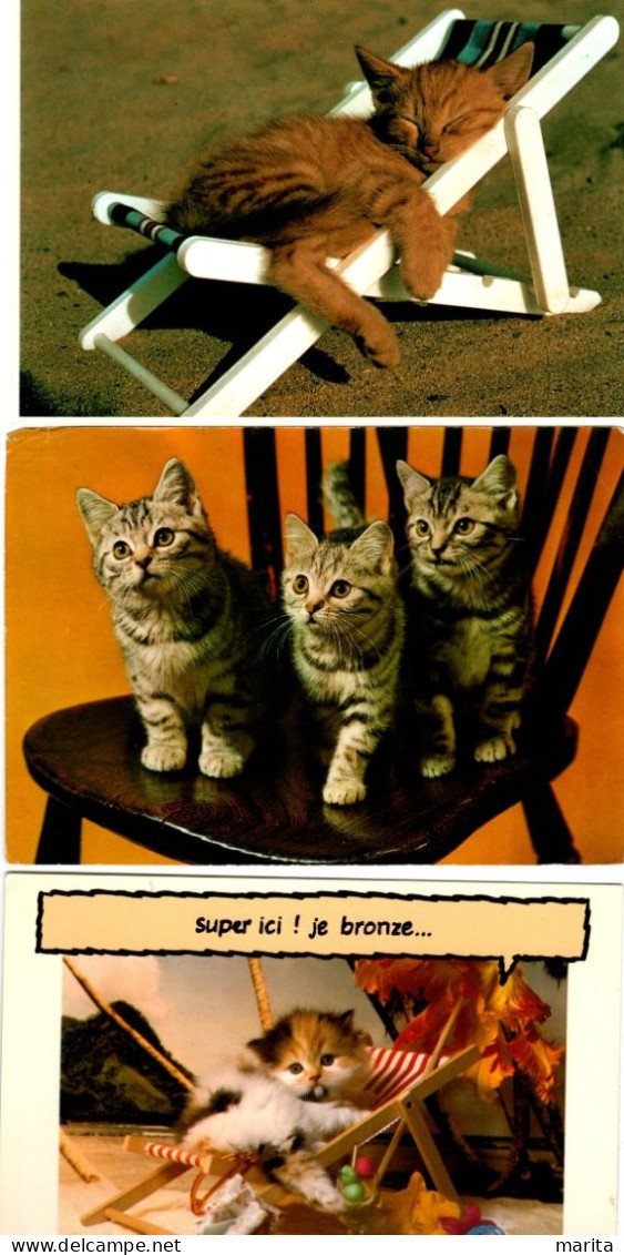 3 Cartes Chats -cats -poesjes Op Stoel  -katzen - Katzen